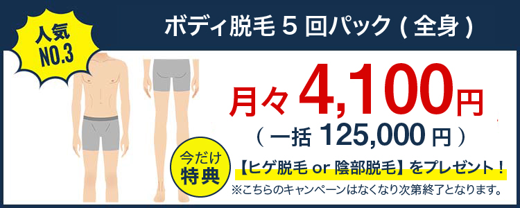 ボディ脱毛3ヶ月通い放題（全身）