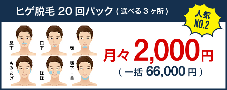 ヒゲ脱毛3ヶ月通い放題（選べる3ヶ所）