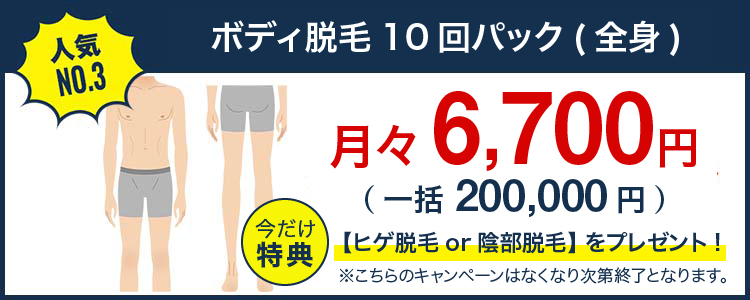 ボディ脱毛3ヶ月通い放題（全身）